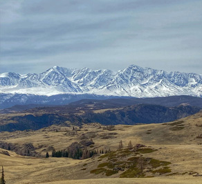 Panorama der Kurai-Steppe und der Gletscherberge der Nord-Chuya-Kette
